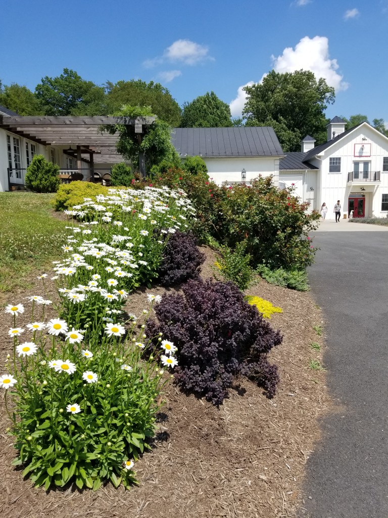 The path to the winery